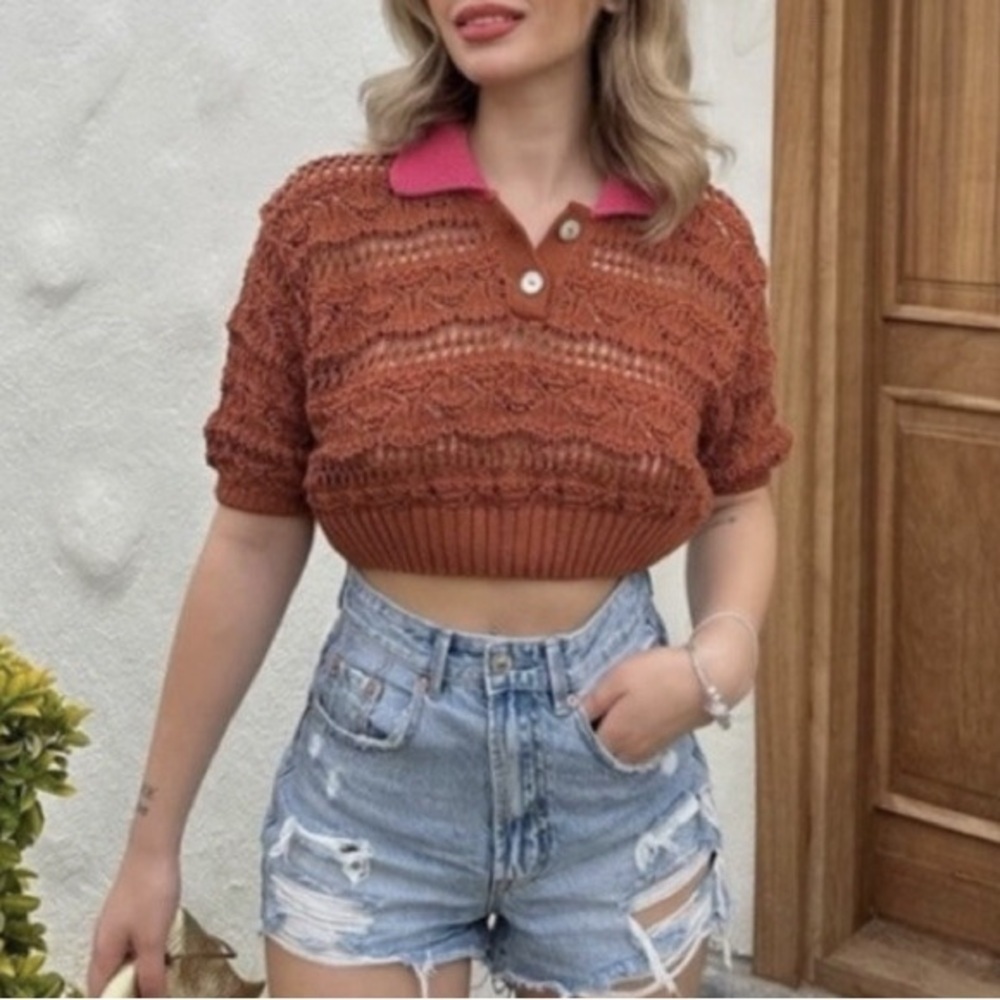 Zara | POINTELLE Crop Top Terracotta Rust Brown and Pink Cowl Sweater Size Small
